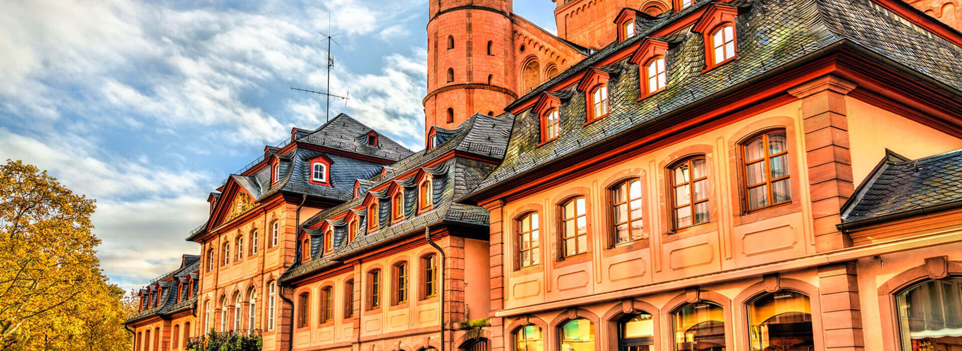 Fassade Des Mainzer Doms St. Martin Im Warmen Abendlicht mob Fassade Des Mainzer Doms St. Martin Im Warmen Abendlicht
